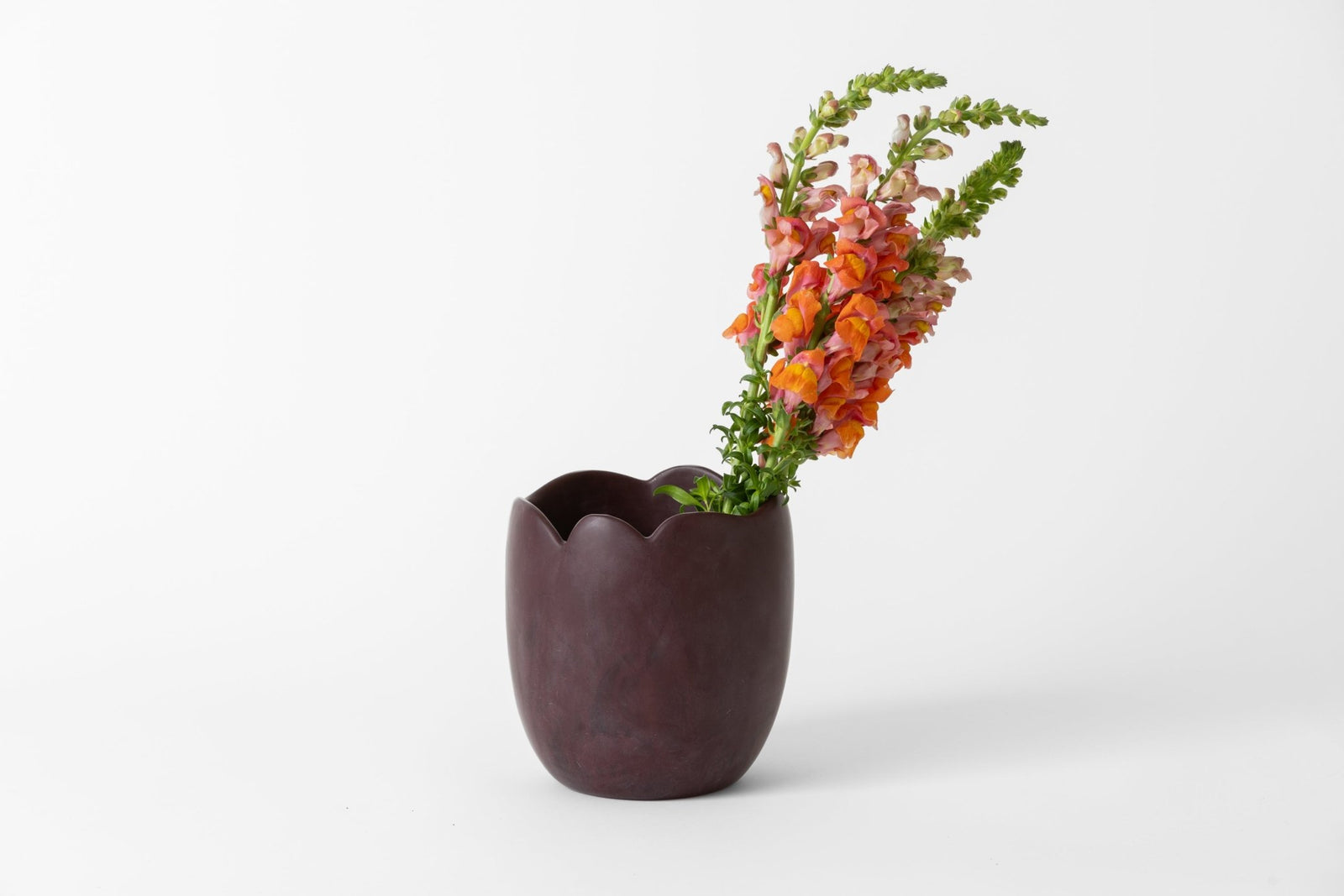 Wide Paradise Vase Grape